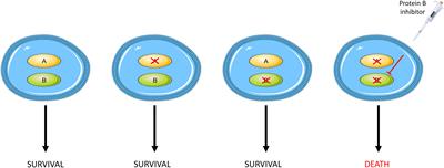 Poly (ADP-ribose) polymerase inhibitor therapy and mechanisms of resistance in epithelial ovarian cancer